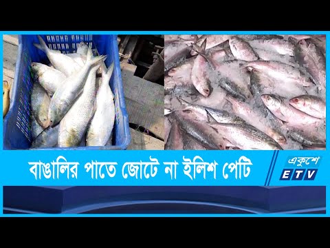 ইলিশের কালেও আকাল