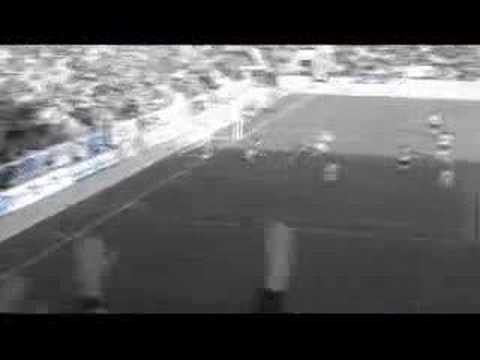 BLAUWEISS Trailer - Premiere