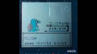 #2　ポケットモンスター金~ワニノコ~