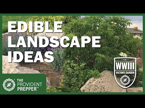 High Desert Gardens: Where Resilience Meets Beauty | Community Health