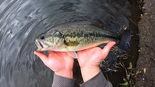 Bass Fishing w/ a Rooster Tail Spinner!!