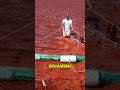 What are Red Tides? The Sea Cries Blood #shorts #science