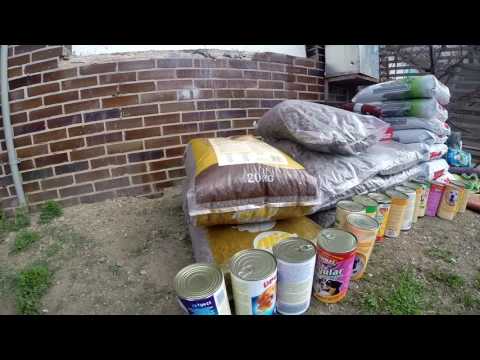 DBR - Život je Pes Rožňava