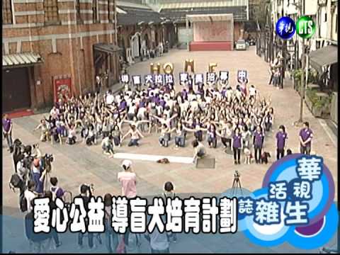 愛心公益 導盲犬培育計劃