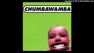 Chumbawamba - Amnesia
