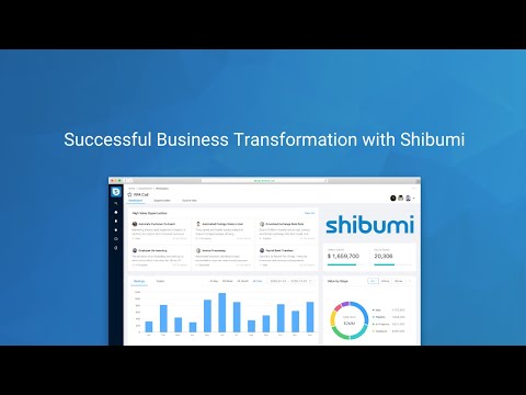 Successful Business Transformation with Shibumi