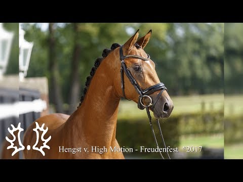 Kat. - Nr. 11 - Trakehner Hengstmarkt 2019 -  Hengst v. High Motion - Freudenfest  *2017