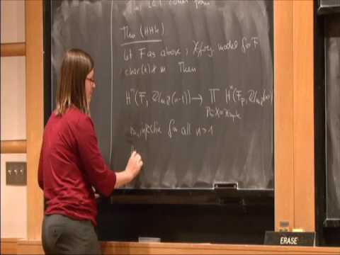 Local Global Principles for Galois Cohomology - Julia Hartmann