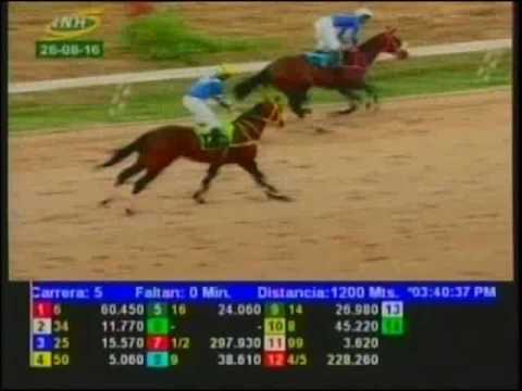 Resumen Viernes, 26 de Agosto de 2016 - Valencia