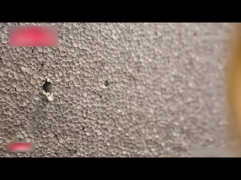 Aplicación taco de fijación golpeo acero WKTHERM 8 de SATE