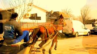 JJ CALE - ONE STEP ( phone & two step gone )