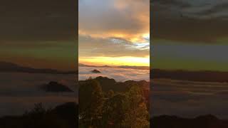 Download lagu Sementara Sendiri - Geisha (Felix cover) | #shorts #geisha #felixirwan #cover | story wa mp3