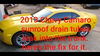 2013 Chevy Camaro sunroof drain tubes leak in trunk.