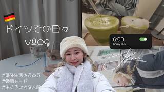 🇩🇪ドイツで生きてる2026年の1月｜vlog