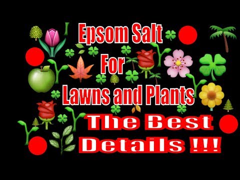 Video About Epsom Salt, Biggest Hit Cover More Details Explanation Details and how everything works