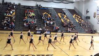 DePaul University Dance Team - Midwest Grand Champions Performance (closer view)