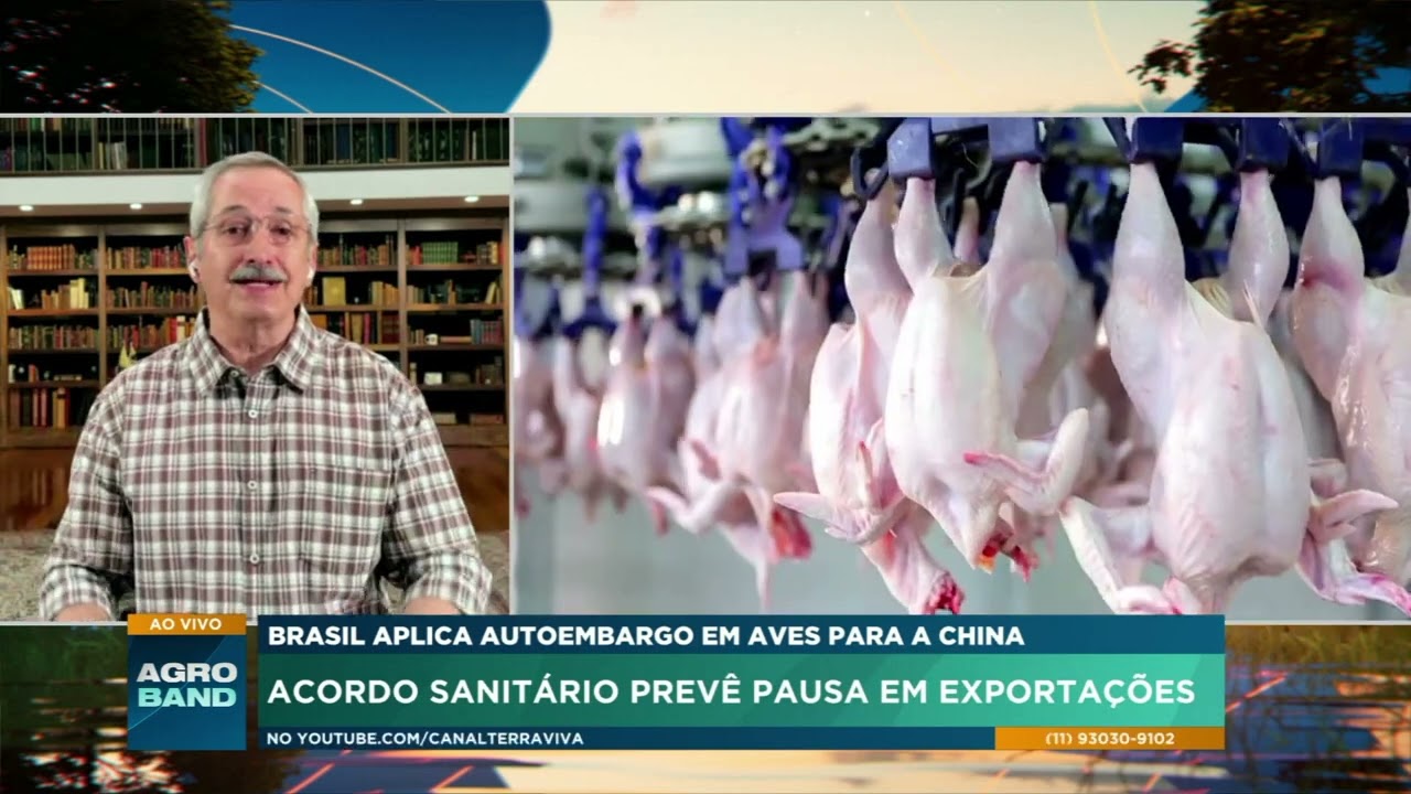 Doença de Newcastle: acordo com a China prevê suspensão das exportações de aves