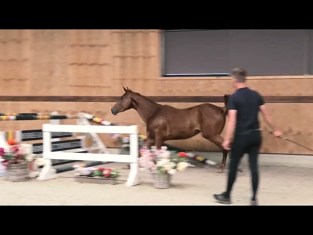 jumping