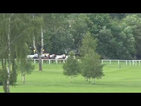 KV, 19. 6. 2016, 2. dostih - Cena společnosti JAN BECHER KARLOVARSKÁ BECHEROVKA