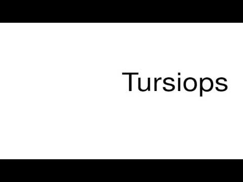 How to pronounce Tursiops