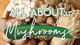 All About MUSHROOMS: Eight Different Species and Adaptogenic Benefits