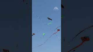 Download lagu L̶o̶v̶e̶  GT Kites are in the air 🪁[ Aava De | Uttarayan 2026 ] mp3