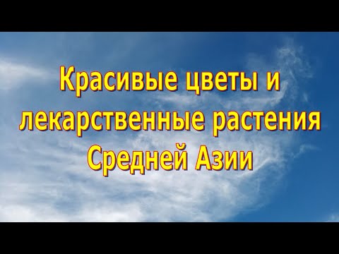 Красивые цветы и лекарственные растения Средней Азии 💐🌿☘