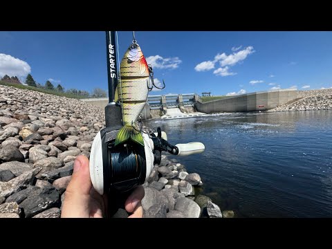 The Pike Followed My Swimbait RIGHT To My Feet…