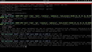 Download the video "Ruby on Rails: Querying with ActiveRecord - create / update / delete in bulk"