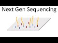 Next Generation Sequencing Illumina An Introduction
