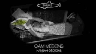 Cam Meekins x Hannah Georgas - Sharks