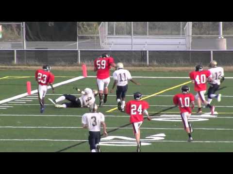 Interception and Touchdown by James Gmiter