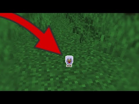 Minecraft's Cursed New Feature