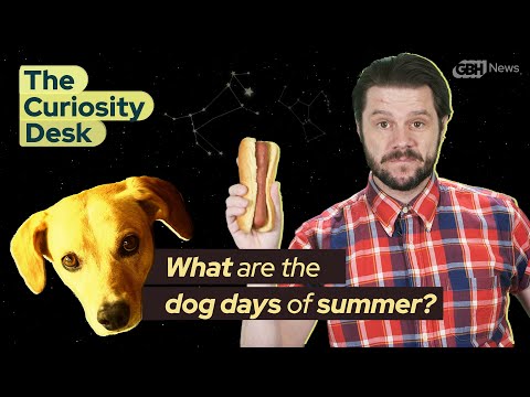 YouTube video about: When is dog days in alabama?