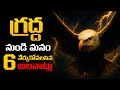 EAGLE MINDSET 6 Secret Laws To RULE Your Life No Fear No Limits Voice Of Telugu