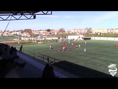 Oriental Dragon x Pinhalnovense