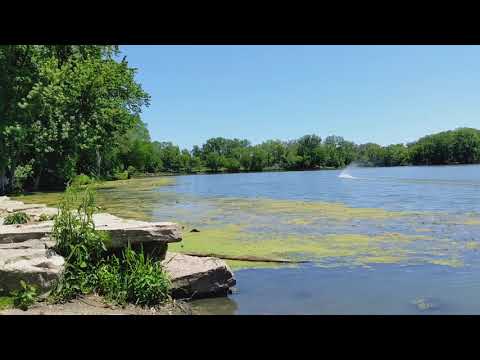 Oxidean Marine Dominator (with replacement prop)