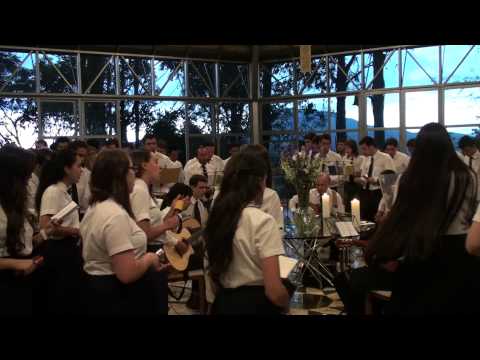 OLHA A CANÇÃO - FLOR DE JAGUBE - MARIA DAMIÃO 6