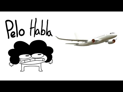 Hair Talks - The Airplanes