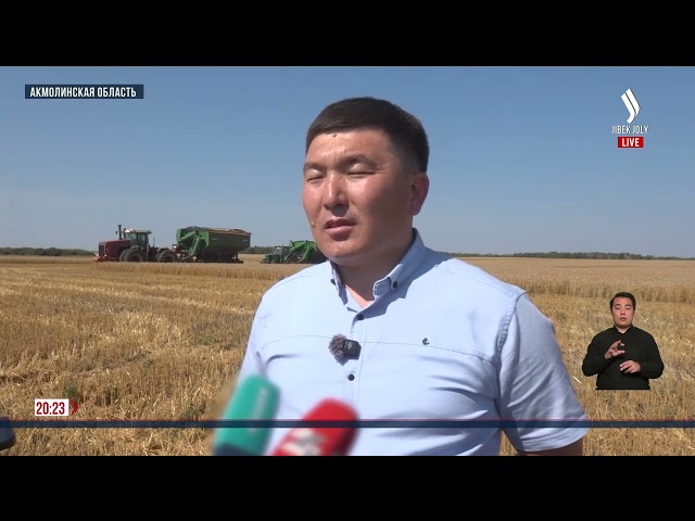 2 млн тонн зерна намолотили аграрии Акмолинской области