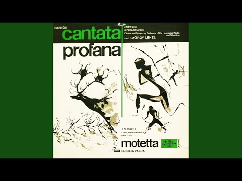 Cantata profana (A kilenc csodaszarvas) Sz. 94 (1930)