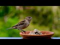 Kabhi Yadon Mein Aao Kabhi Khwabon Mein Aawo Song With Nature