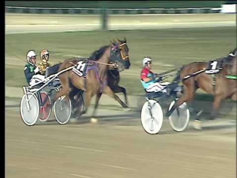 Trotto 01/07/2017 - 7ª corsa - G.P. Antonio Carena