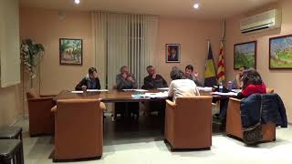 Ple Ordinari 12/03/2018