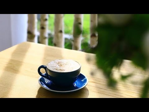 Pensiunea AN de AN Remeti, Remeţi, Romania