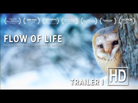 Official Trailer #1 (HD)