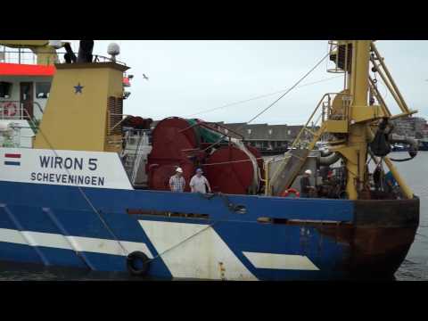 De nieuwe haring van 2013 aangebracht door de wiron 5 en 6