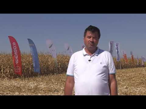 Ziua Porumbului Orezu 2021-Maine, 16 Septembrie