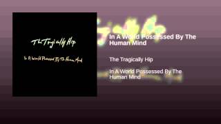 In A World Possessed By The Human Mind