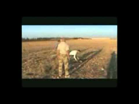 تدريبات للعناصر الجدد في كتيبة سباع البر في ريف حمص